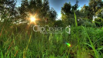 Sunrise Meadow. HDR Timelapse Shot Motorized Slider