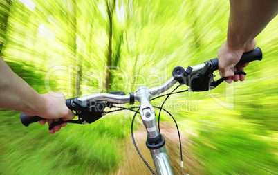 riding bike through the forest