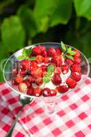 woodland strawberry with whipped cream