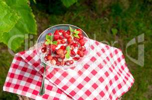 woodland strawberry with whipped cream