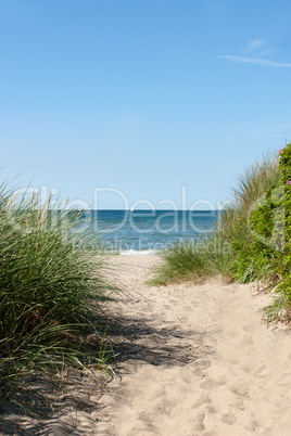 Ostseestrand - Baltic Sea Beach