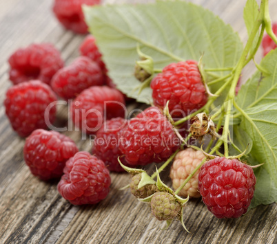 Raspberries