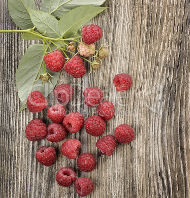 Raspberries