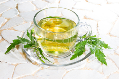 Verbena officinalis leaves and herbal tea