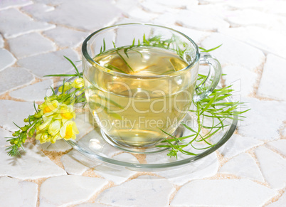 Cup of yellopw toadflax infusion