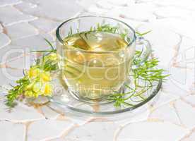 Cup of yellopw toadflax infusion