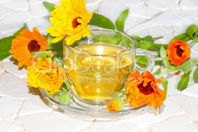 Pot marigold or Calendula officinalus