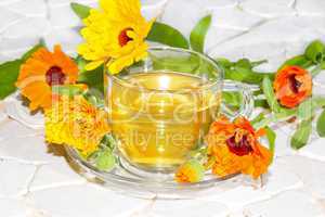 Pot marigold or Calendula officinalus