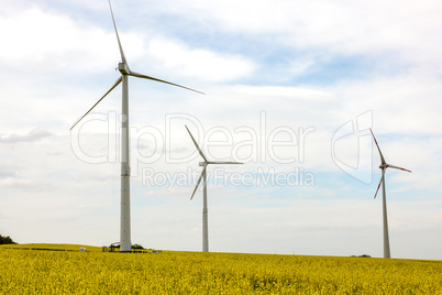 Canola field with wind turbine for energy