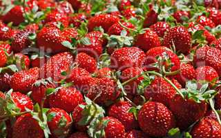 Juicy ripe strawberrys on sale at market