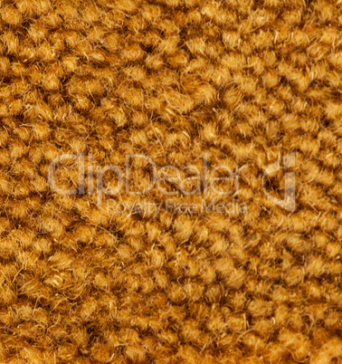golden carpet texture detail