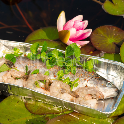 grilled trout