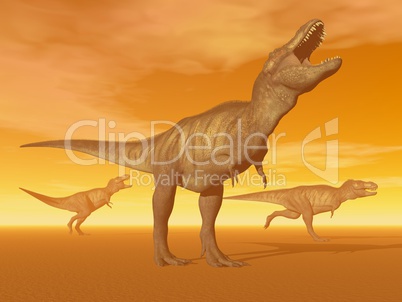 Tyrannosaurus dinosaurs in the desert - 3D render