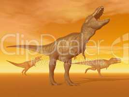 Tyrannosaurus dinosaurs in the desert - 3D render