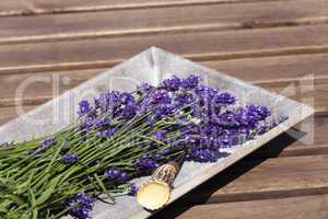 Lavendel in einer Holzschale