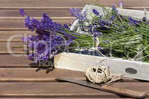 Lavendel mit Faden zusammengebunden