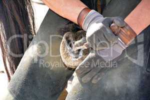 Blacksmith, or equine farrier,
