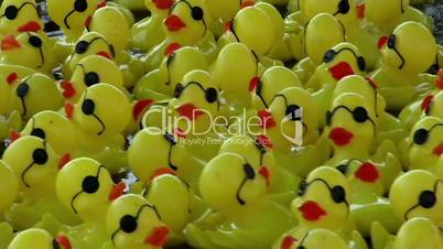 Floating rubber yellow ducks (toys)