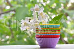 types of muffins with white jasmine flower