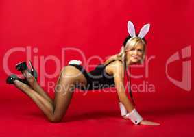 young attractive girl in a bunny suit