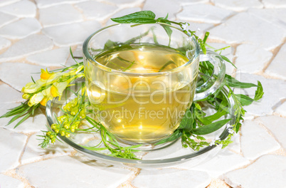 Cup of toadflax and Verbena Infusion