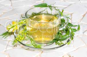 Cup of toadflax and Verbena Infusion