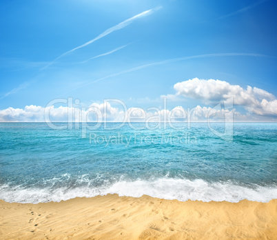 sandy beach and sea