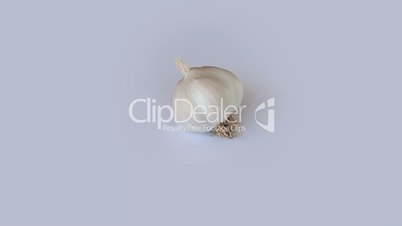 Garlic on white background rotation