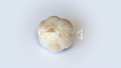 Garlic on white background rotation