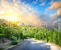 Cypress park in mountains