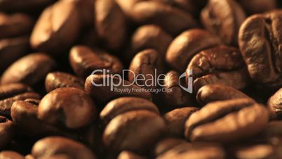 coffee beans - dolly
