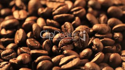 coffee beans - dolly