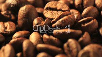 Coffee beans - DOLLY