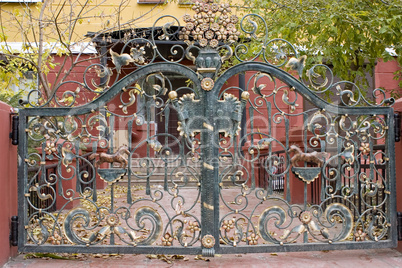 decorative metal gate.
