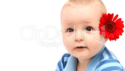 portrait of a baby with flower