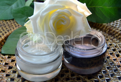 Cream  with white roses