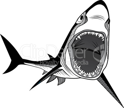 shark fish head symbol for mascot or emblem design, logo vector illustration for t-shirt. sketch tattoo design.