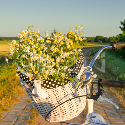 baskets with daisies at sunset