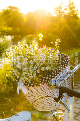 baskets with daisies at sunset