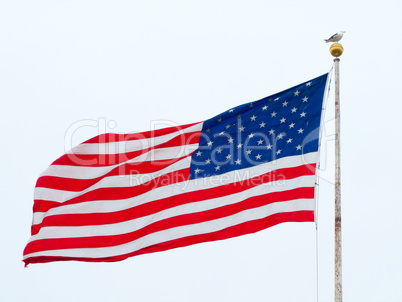 American flag