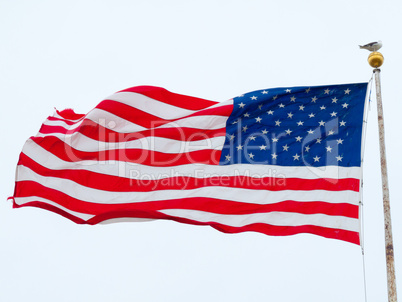 American flag