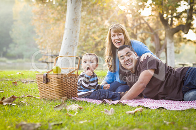 Happy Mixed Race Ethnic Family Having a Picnic In Park