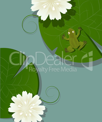 frog and lotus