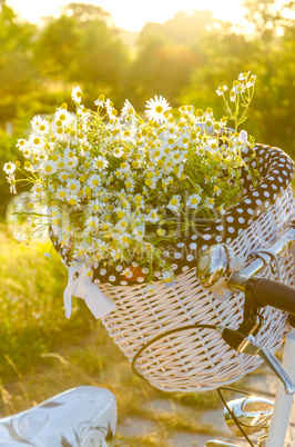 baskets with daisies at sunset