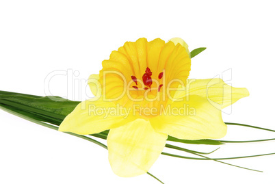 Plasteosterglocke - daffodil from plastic 01