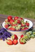 Erdbeeren, Lavendel und Mohn im Sommer