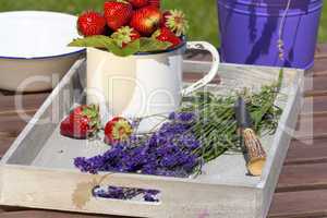 Erdbeeren und Lavendel auf einem Tablett