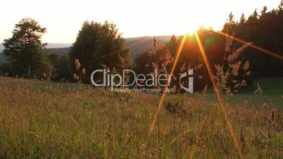 sonnenuntergang am waldrand in Thüringen