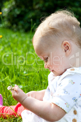Baby girl portrait on the summer meadow