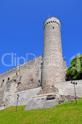 Toompea tower